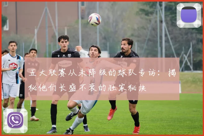 五大联赛从未降级的球队专访:揭秘他们长盛不衰的独家秘诀