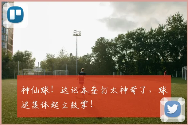 神仙球！这记本垒打太神奇了，球迷集体起立鼓掌！