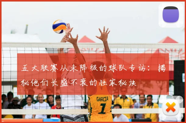 五大联赛从未降级的球队专访：揭秘他们长盛不衰的独家秘诀