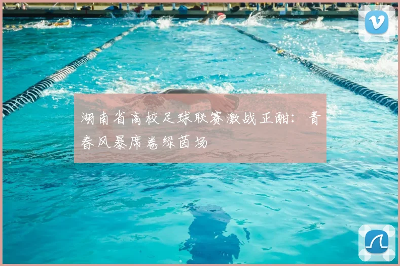 湖南省高校足球联赛激战正酣：青春风暴席卷绿茵场